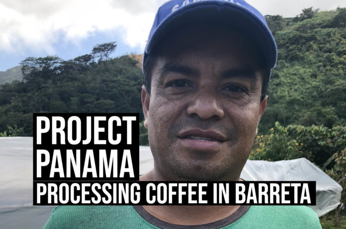 Project Panama: Processing Coffee in Barreta Cocle
