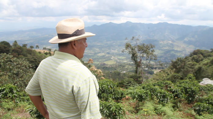 Coffee in Colombia: The Good, The Bad, and The Ugly