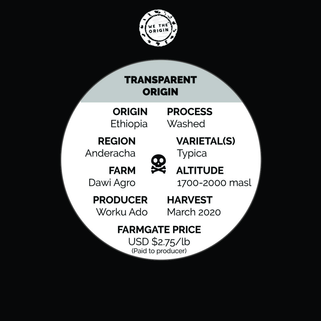 Transparent Origin Coffee - We The Origin and Pirates of Coffee